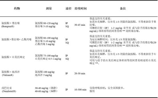 小鼠麻醉指導原則(圖2) 微信圖片_20240514173642.png