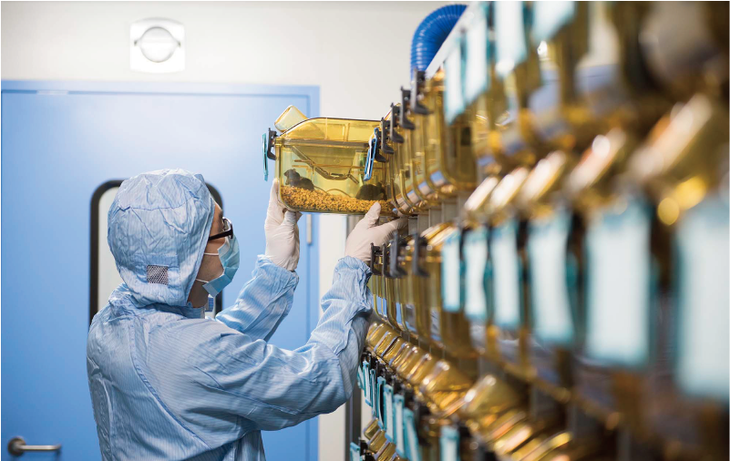 項(xiàng)目后期